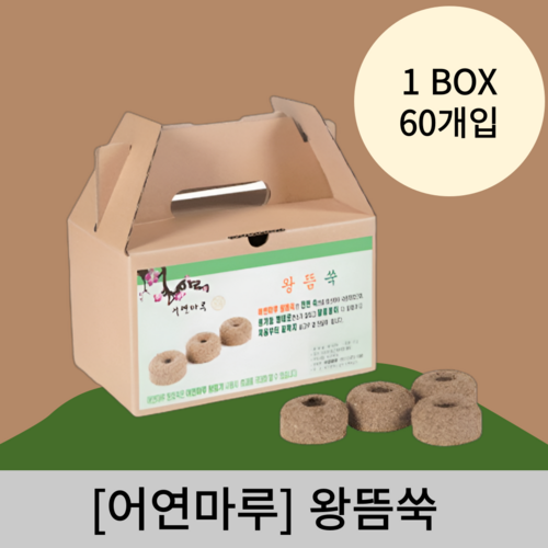 [어연마루]왕뜸쑥