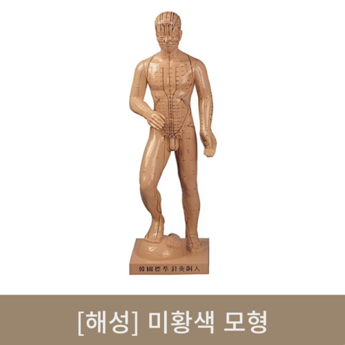 [해성]미황색 모형