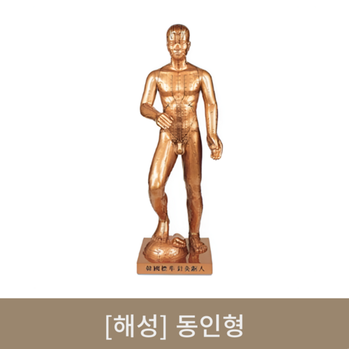 [해성]동인형