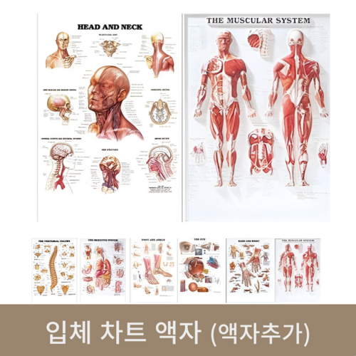 입체(차트)액자(액자추가)