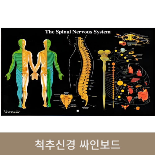 척추신경 싸인보드