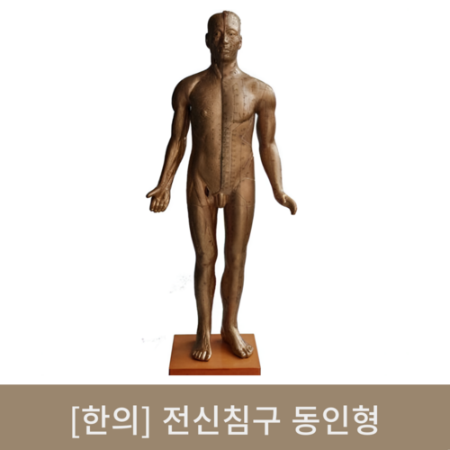 [한의]전신침구동인형