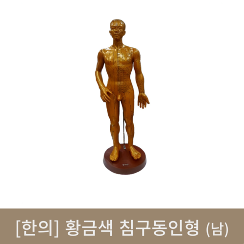 [한의]황금색 침구동인형(남)