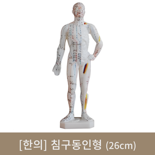 [한의]침구동인형 (26cm)