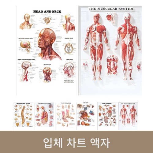 입체(차트)액자