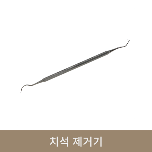 치석 제거기