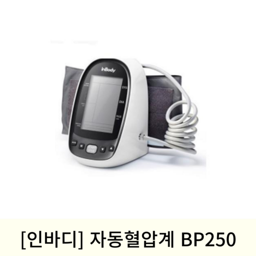 [인바디]자동혈압계 BP250