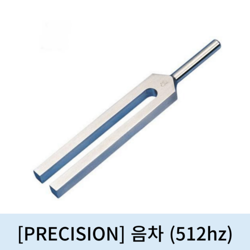 [PRECISION]음차 (512hz)