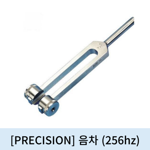 [PRECISION]음차 (256Mz)