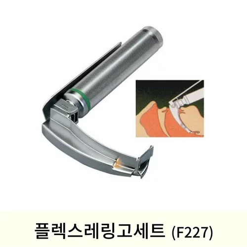 플렉스레링고세트(F227)