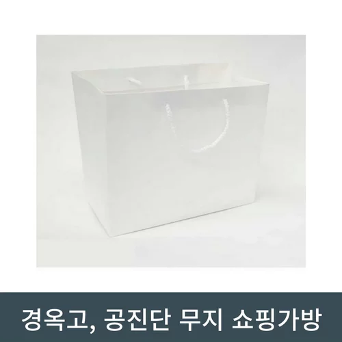 [기성]경옥고,공진단 쇼핑가방200장